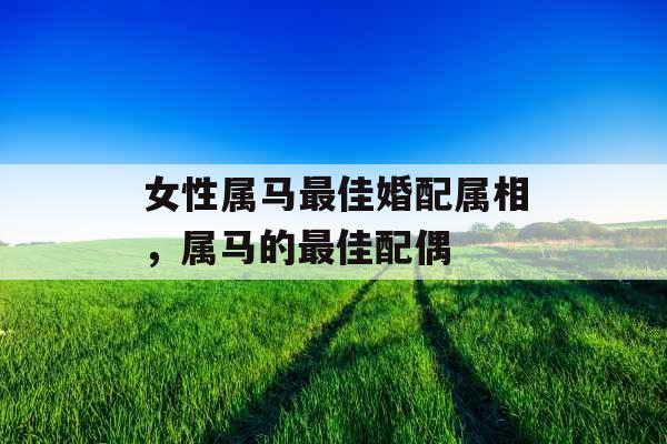 女性属马最佳婚配属相，属马的最佳配偶