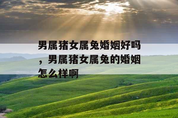 男属猪女属兔婚姻好吗，男属猪女属兔的婚姻怎么样啊