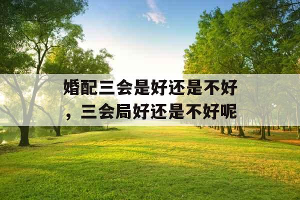 婚配三会是好还是不好，三会局好还是不好呢