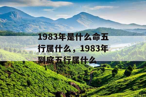 1983年是什么命五行属什么，1983年到底五行属什么