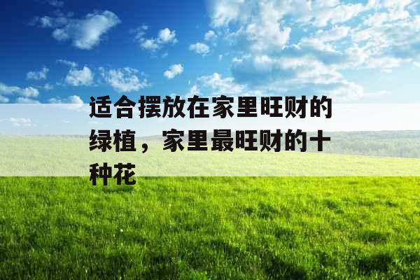 适合摆放在家里旺财的绿植，家里最旺财的十种花