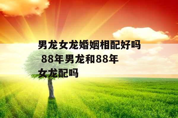 男龙女龙婚姻相配好吗 88年男龙和88年女龙配吗