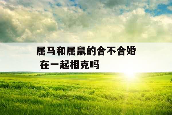 属马和属鼠的合不合婚 在一起相克吗