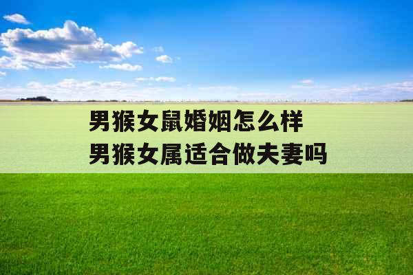 男猴女鼠婚姻怎么样 男猴女属适合做夫妻吗 男猴女鼠婚姻怎么样 男猴女属适合做夫妻吗