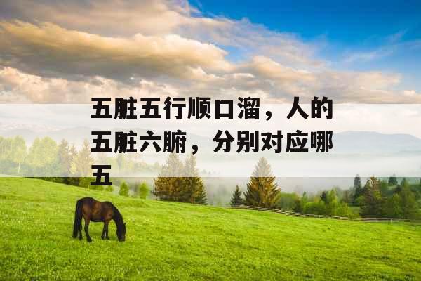 五脏五行顺口溜,人的五脏六腑,分别对应哪五 五脏五行顺口溜,人的五脏六腑,分别对应哪五