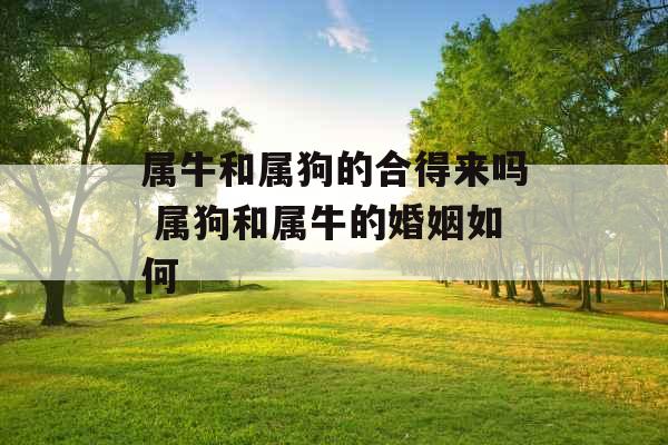 属牛和属狗的合得来吗 属狗和属牛的婚姻如何