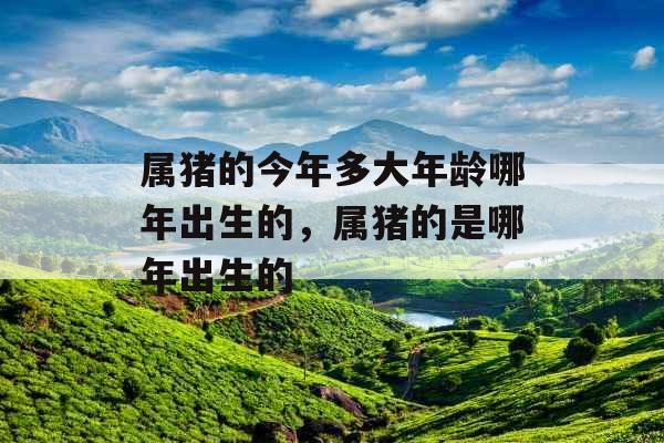 属猪的今年多大年龄哪年出生的，属猪的是哪年出生的