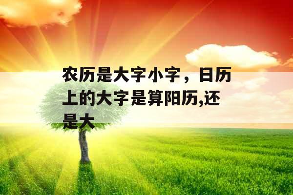 农历是大字小字，日历上的大字是算阳历,还是大