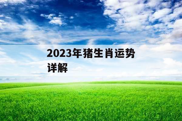 2023年猪生肖运势详解