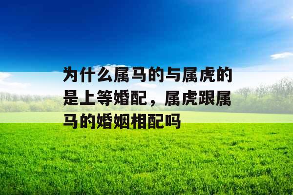 为什么属马的与属虎的是上等婚配，属虎跟属马的婚姻相配吗