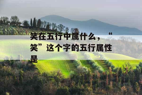 笑在五行中属什么，“笑”这个字的五行属性是