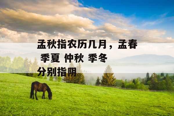 孟秋指农历几月，孟春 季夏 仲秋 季冬 分别指阴