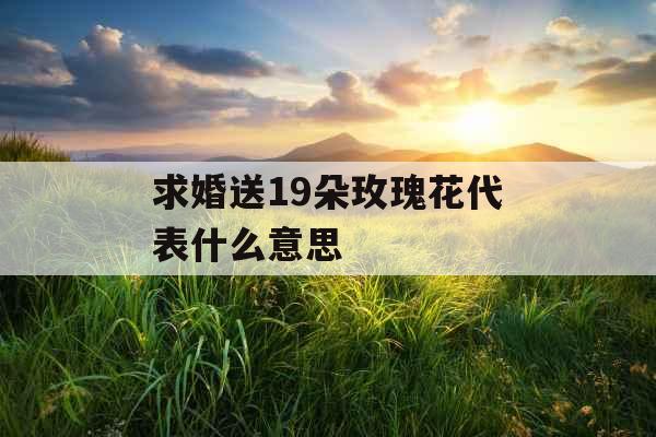 求婚送19朵玫瑰花代表什么意思