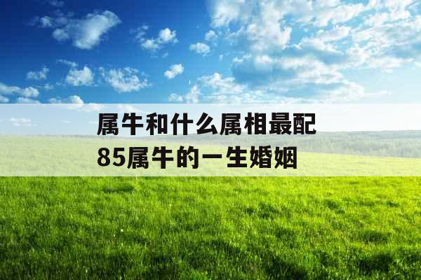 属牛和什么属相最配 85属牛的一生婚姻