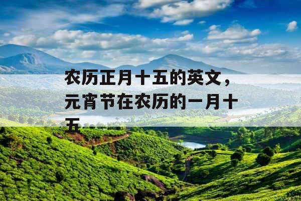 农历正月十五的英文,元宵节在农历的一月十五