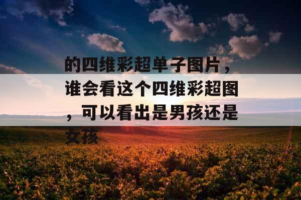 的四维彩超单子图片，谁会看这个四维彩超图，可以看出是男孩还是女孩