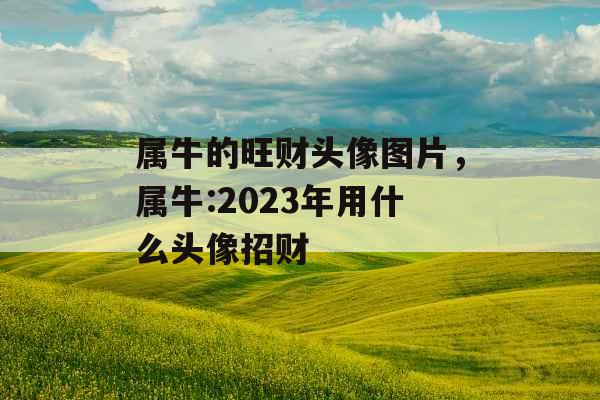 属牛的旺财头像图片，属牛:2023年用什么头像招财