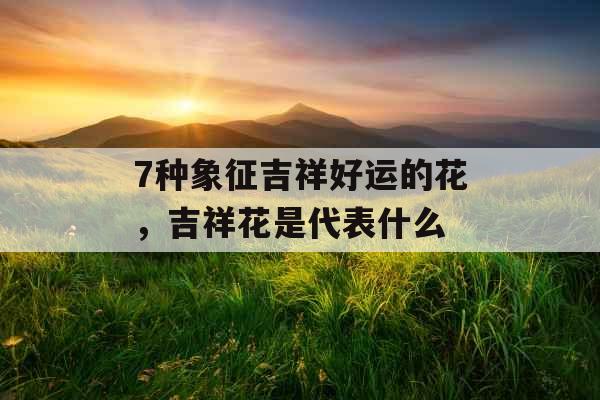 7种象征吉祥好运的花,吉祥花是代表什么