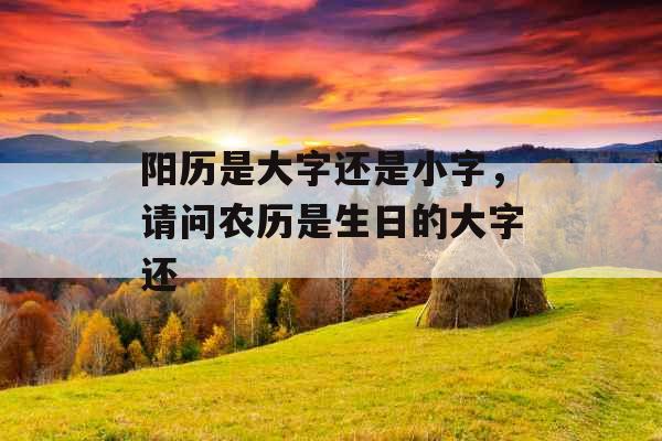 阳历是大字还是小字，请问农历是生日的大字还