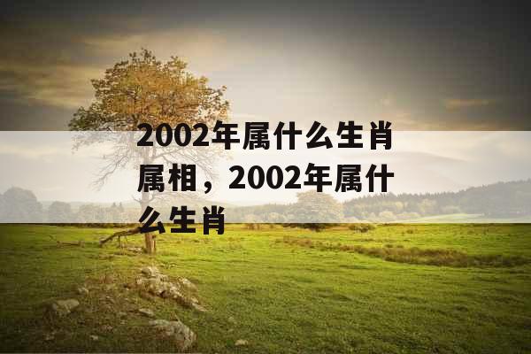 2002年属什么生肖属相，2002年属什么生肖