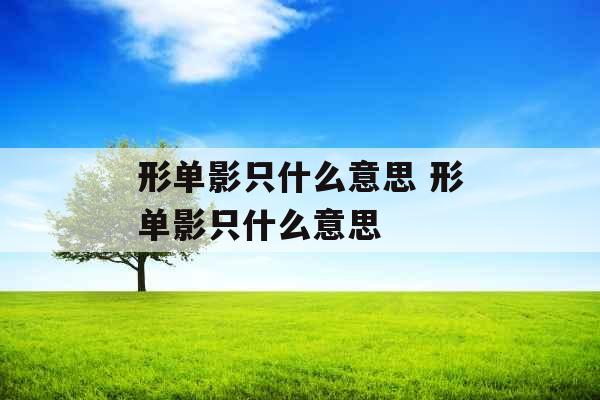 形单影只什么意思 形单影只什么意思