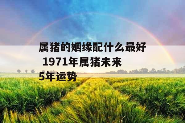 属猪的姻缘配什么最好 1971年属猪未来5年运势