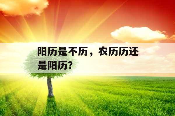 阳历是不历，农历历还是阳历？