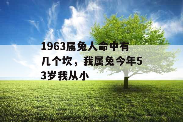 1963属兔人命中有几个坎，我属兔今年53岁我从小