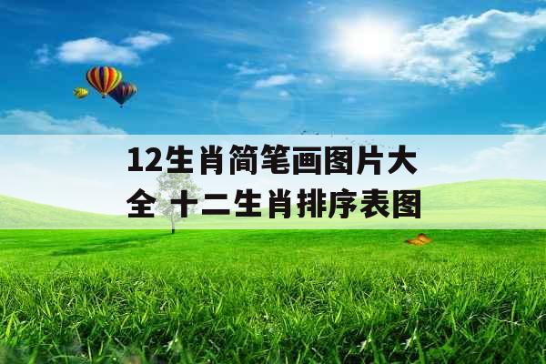12生肖简笔画图片大全 十二生肖排序表图