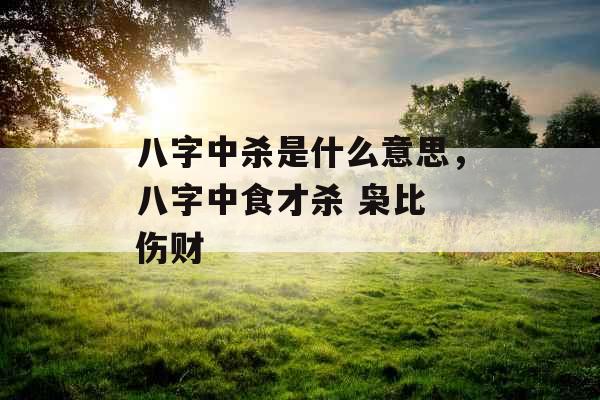 八字中杀是什么意思，八字中食才杀 枭比 伤财