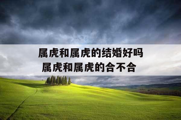 属虎和属虎的结婚好吗 属虎和属虎的合不合