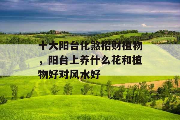 十大阳台化煞招财植物，阳台上养什么花和植物好对风水好