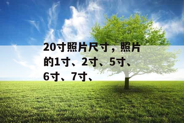 20寸照片尺寸,照片的1寸、2寸、5寸、6寸、7寸、 20寸照片尺寸,照片的1寸、2寸、5寸、6寸、7寸、