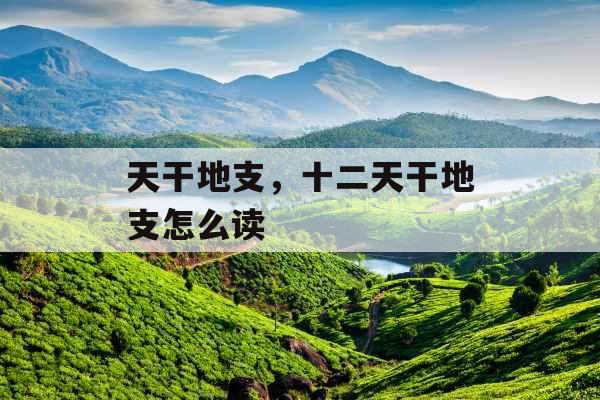 天干地支，十二天干地支怎么读