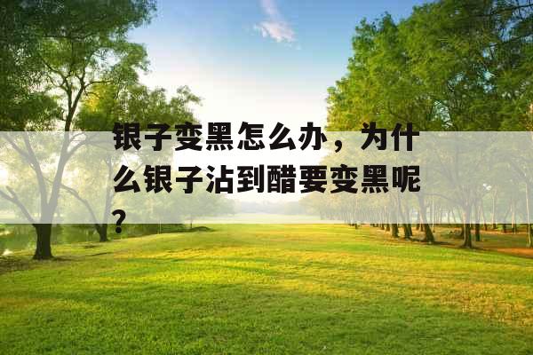 银子变黑怎么办，为什么银子沾到醋要变黑呢？