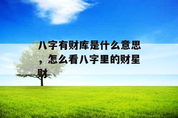 八字有财库是什么意思,怎么看八字里的财星财