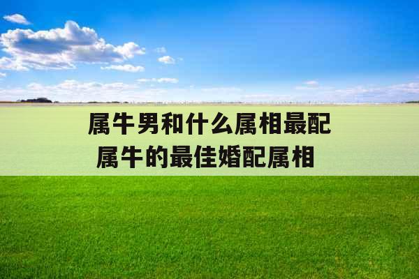 属牛男和什么属相最配 属牛的最佳婚配属相