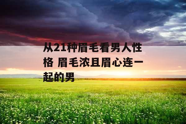 从21种眉毛看男人性格 眉毛浓且眉心连一起的男