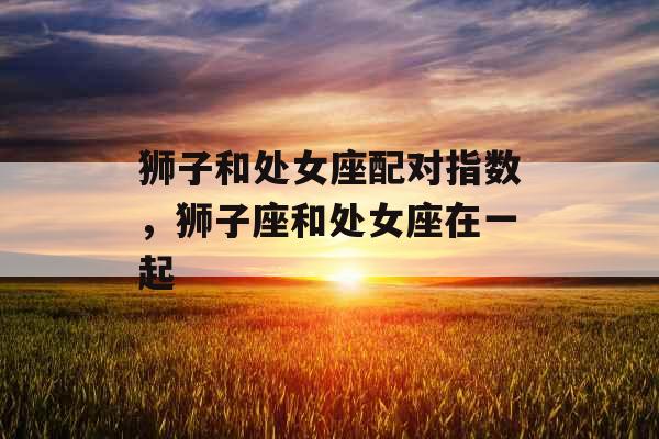 狮子和处女座配对指数，狮子座和处女座在一起