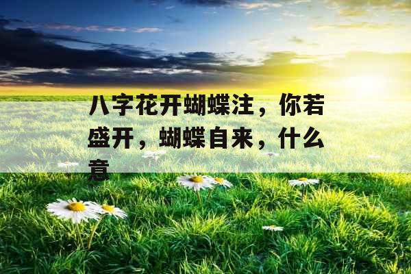 八字花开蝴蝶注，你若盛开，蝴蝶自来，什么意