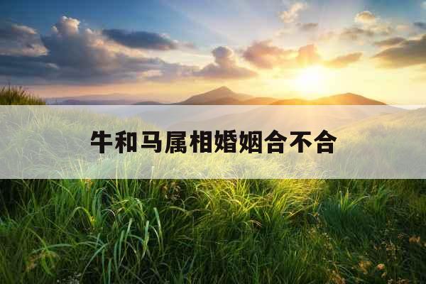 牛和马属相婚姻合不合