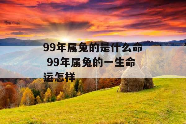 99年属兔的是什么命 99年属兔的一生命运怎样 99年属兔的是什么命 99年属兔的一生命运怎样