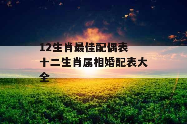 12生肖最佳配偶表 十二生肖属相婚配表大全
