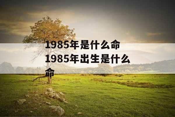 1985年是什么命 1985年出生是什么命