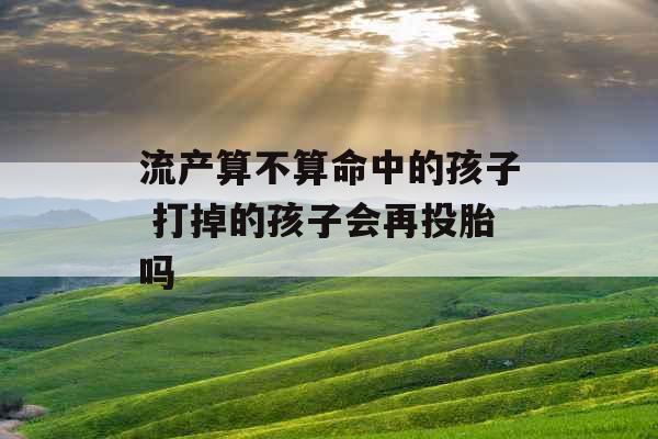 流产算不算命中的孩子 打掉的孩子会再投胎吗