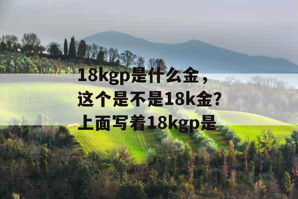 18kgp是什么金，这个是不是18k金？上面写着18kgp是