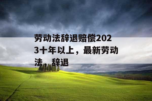 劳动法辞退赔偿2023十年以上，最新劳动法，辞退