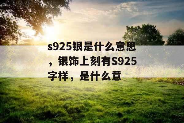 s925银是什么意思，银饰上刻有S925字样，是什么意