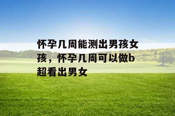 怀孕几周能测出男孩女孩，怀孕几周可以做b超看出男女