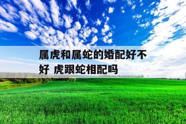 属虎和属蛇的婚配好不好 虎跟蛇相配吗